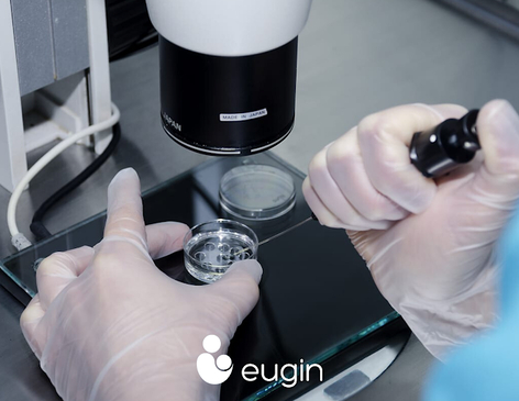 Slider image (5) Eugin Colombia - Clinica de Fertilidad en Colombia